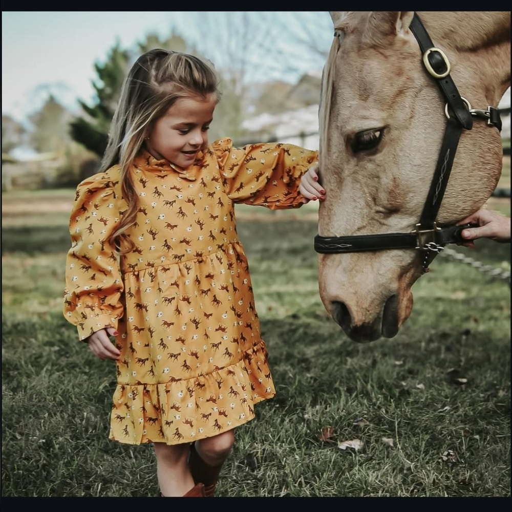 Janie and Jack The Equestrian Snapshot Horse Dress NWOT 18-24 mo 🐎🐎